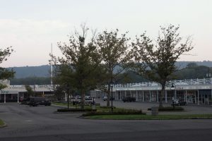 E.Main St-The Provident Bank, pole #70100MM